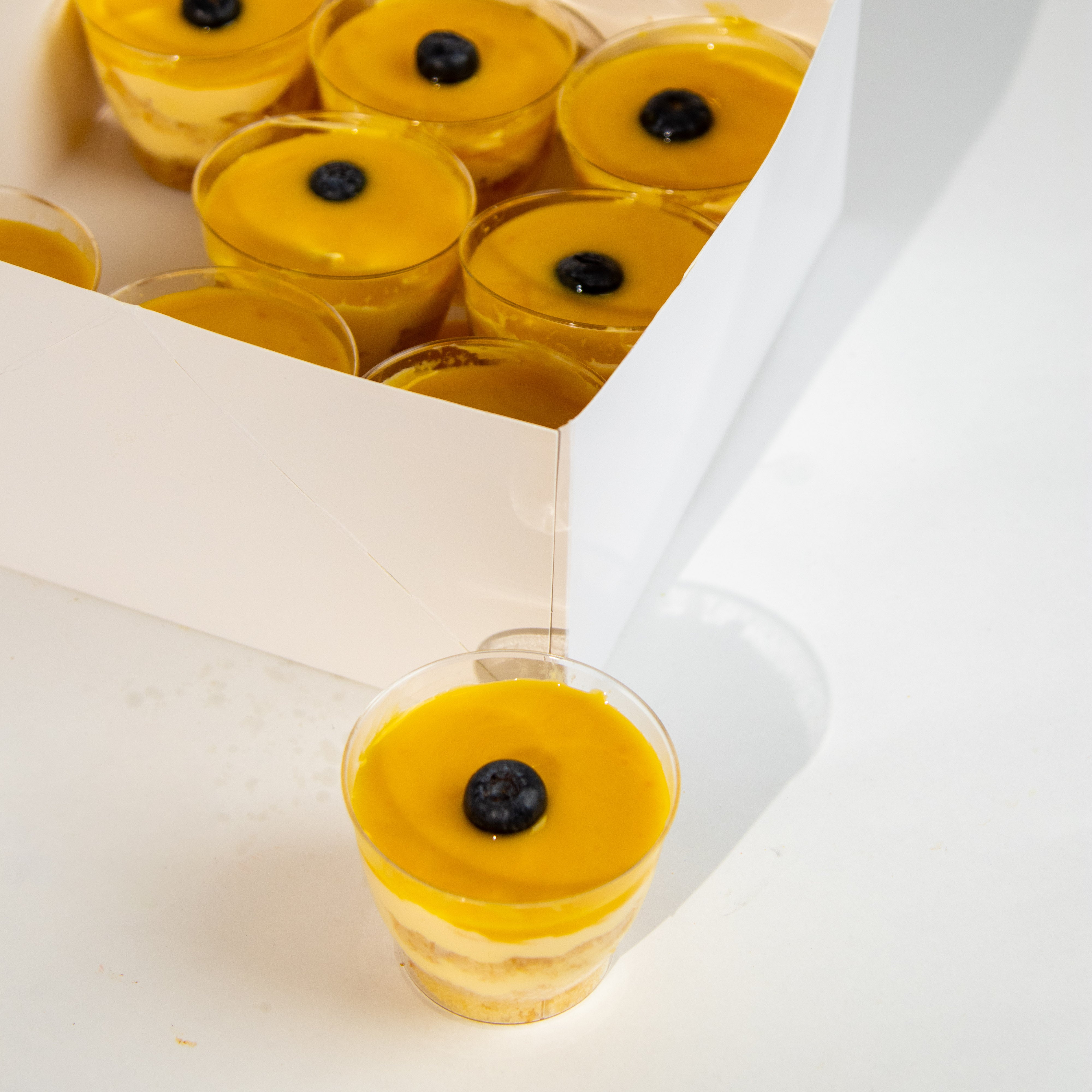 ميني ترافيل مانجو