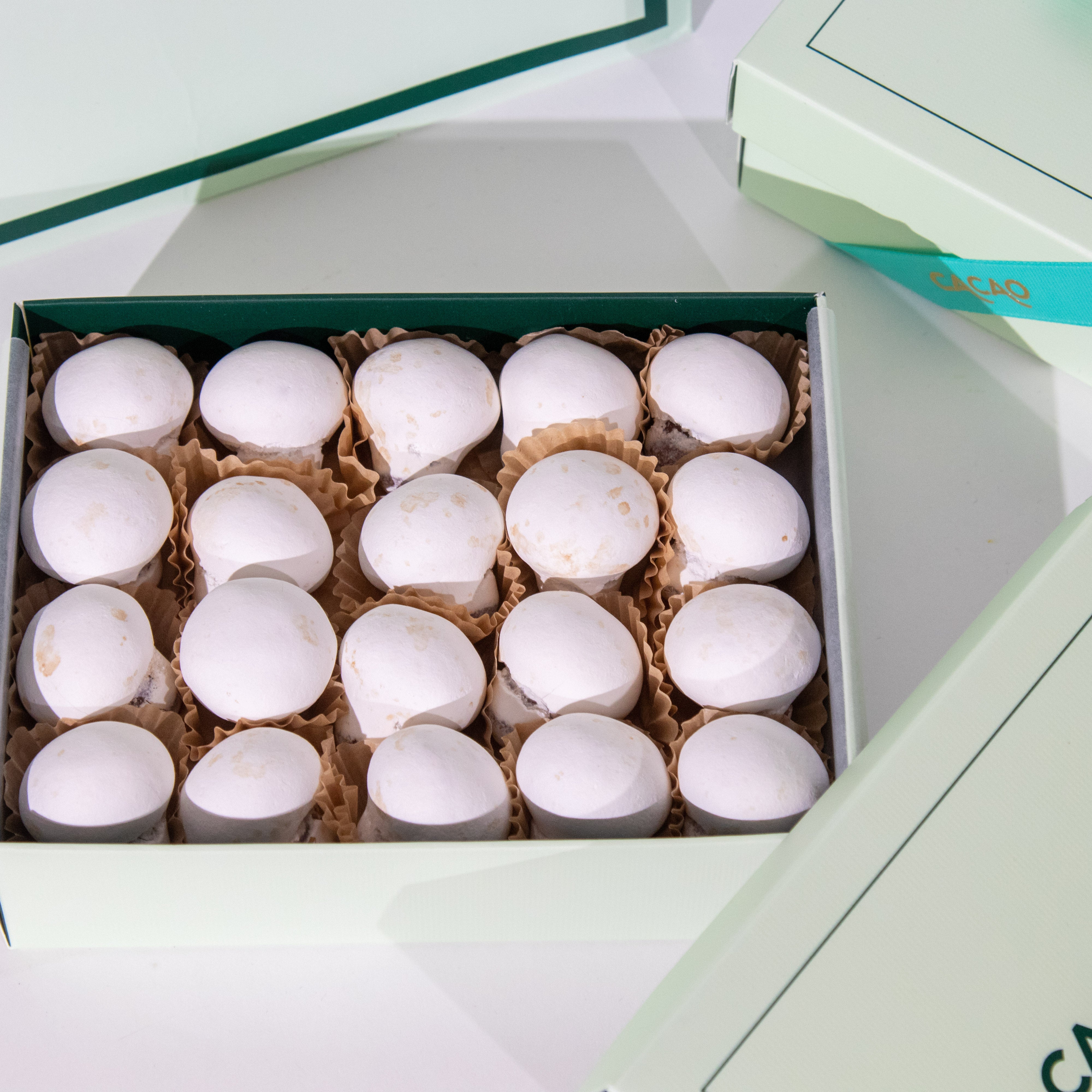 كاكاو المشروم