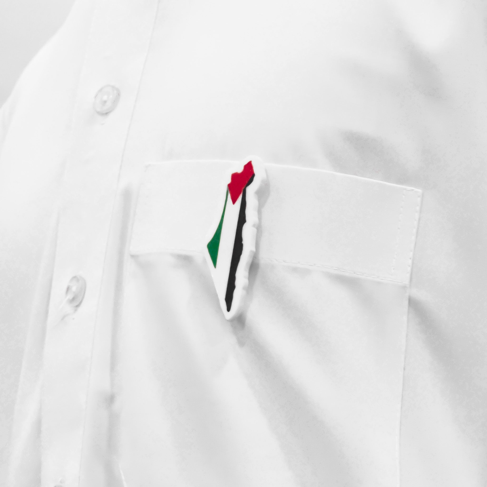 Pin خريطة فلسطين
