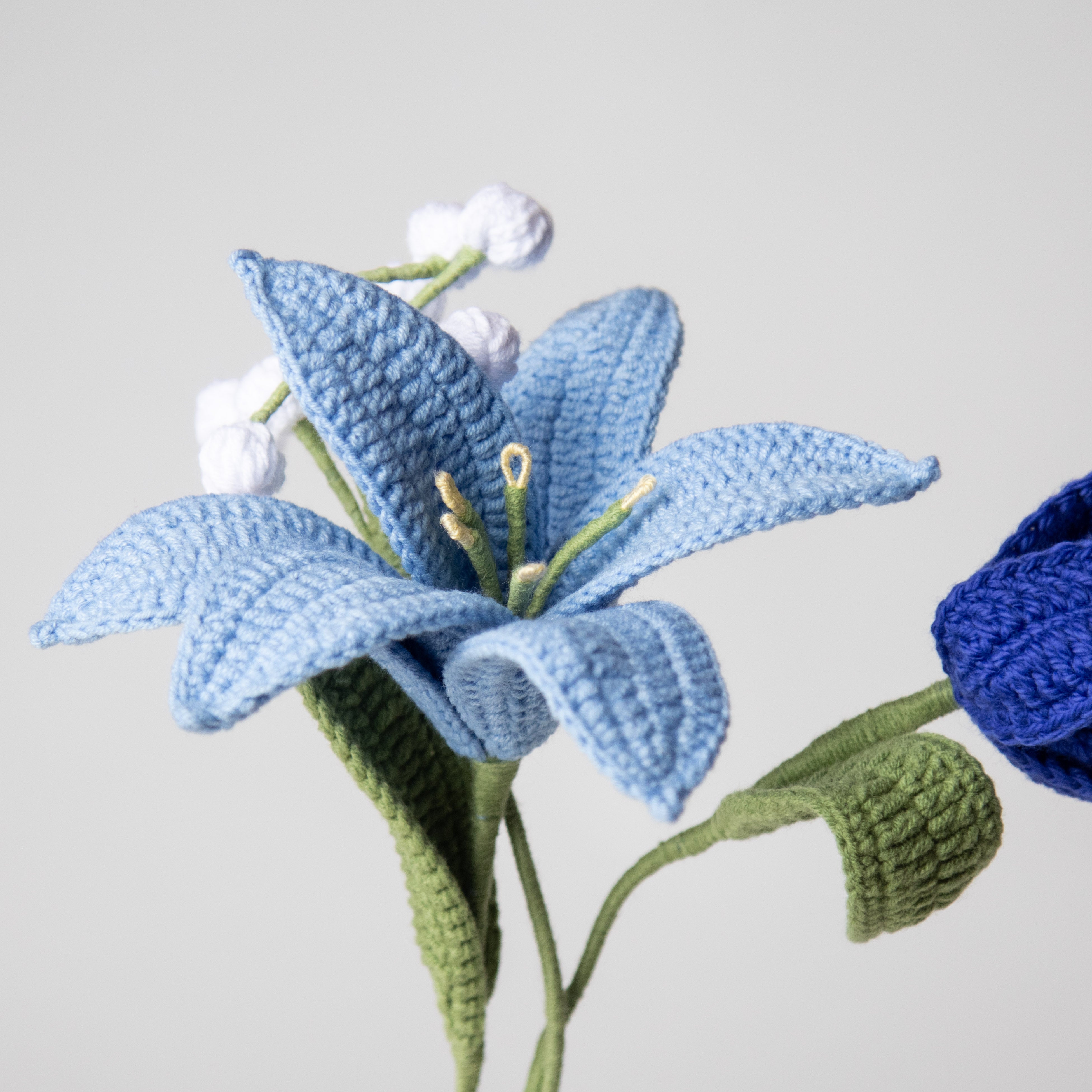 وردة الليلي الزرقاء