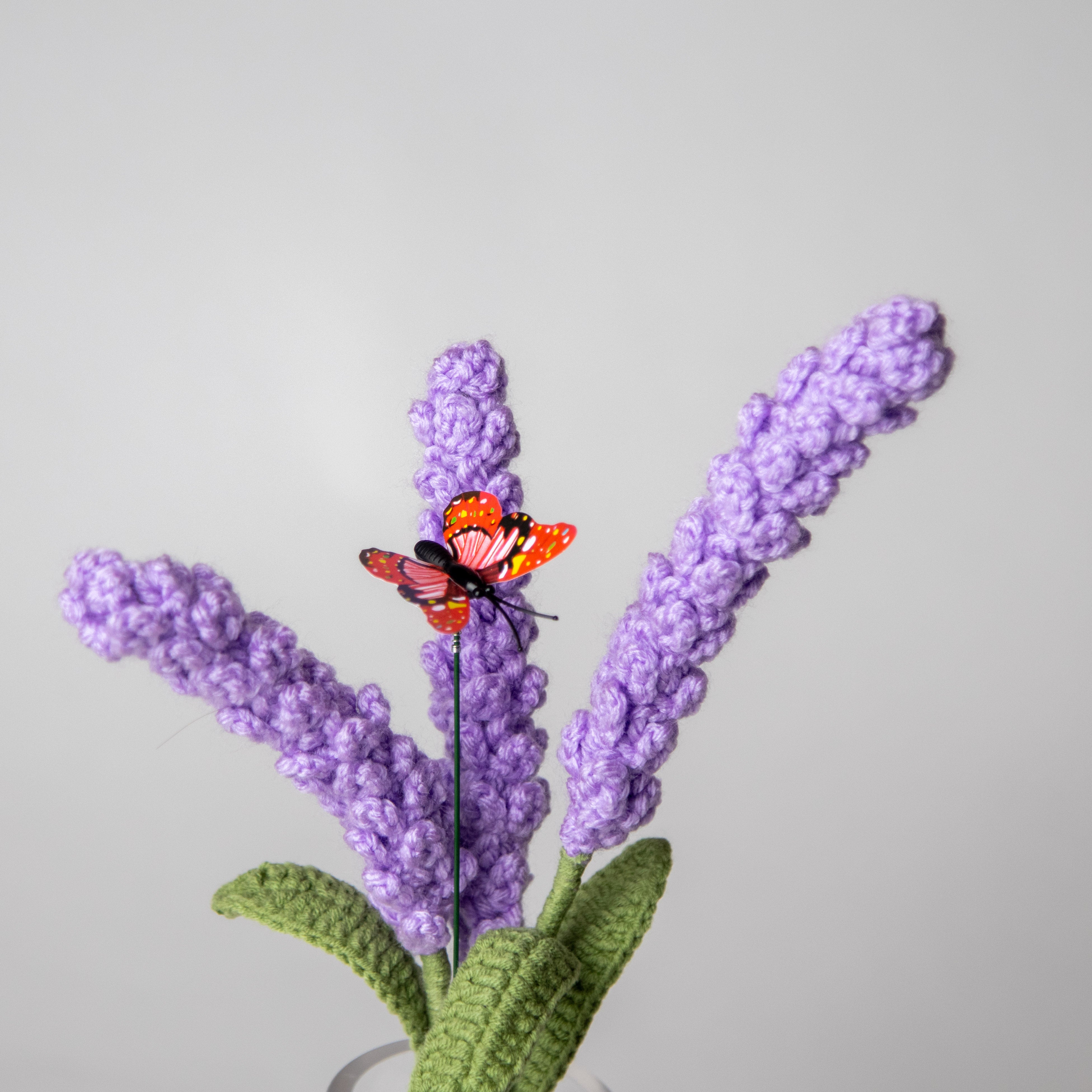 وردة اللافندر البنفسجي