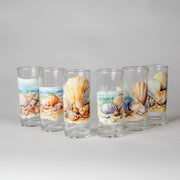 كأس زجاجي برسمة الصدف