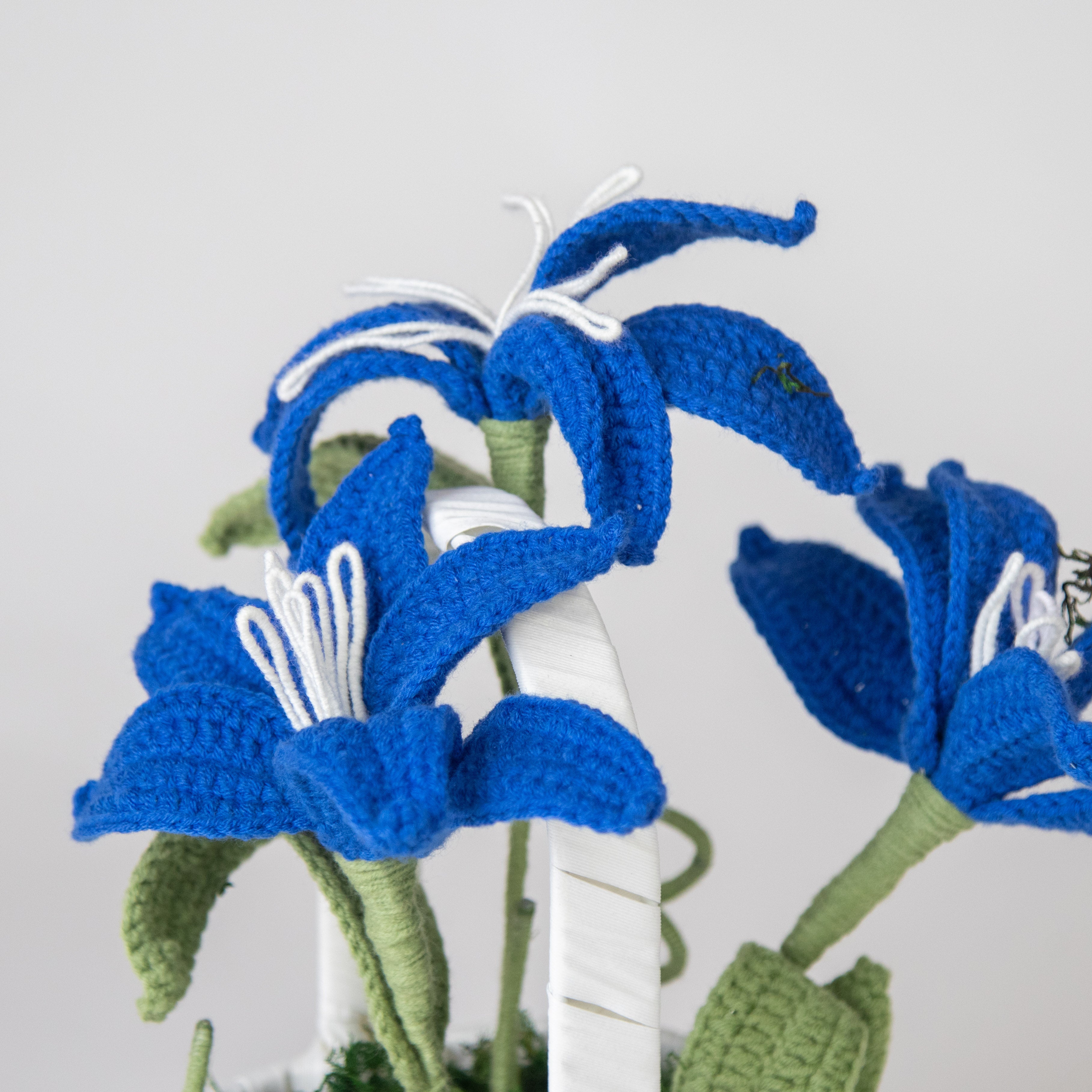 باقة ورد الليلي